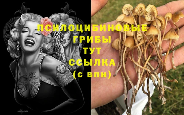 прущая мука Богородицк