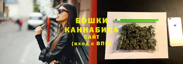 сатива Богданович