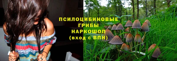 сатива Богданович