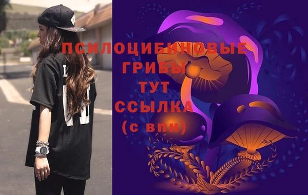 сатива Богданович