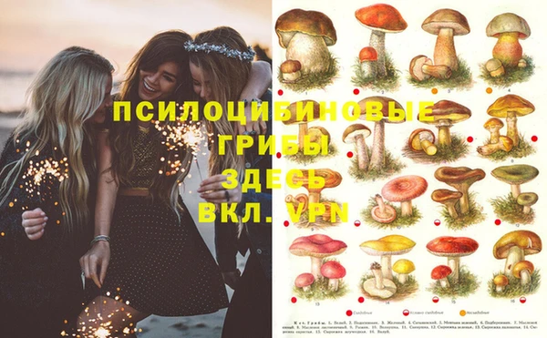 прущая мука Богородицк