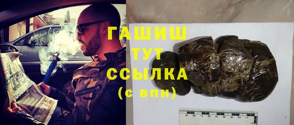 сатива Богданович
