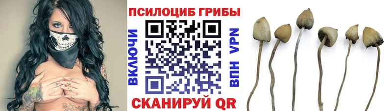 гидра ссылки  Ядрин  Галлюциногенные грибы ЛСД 